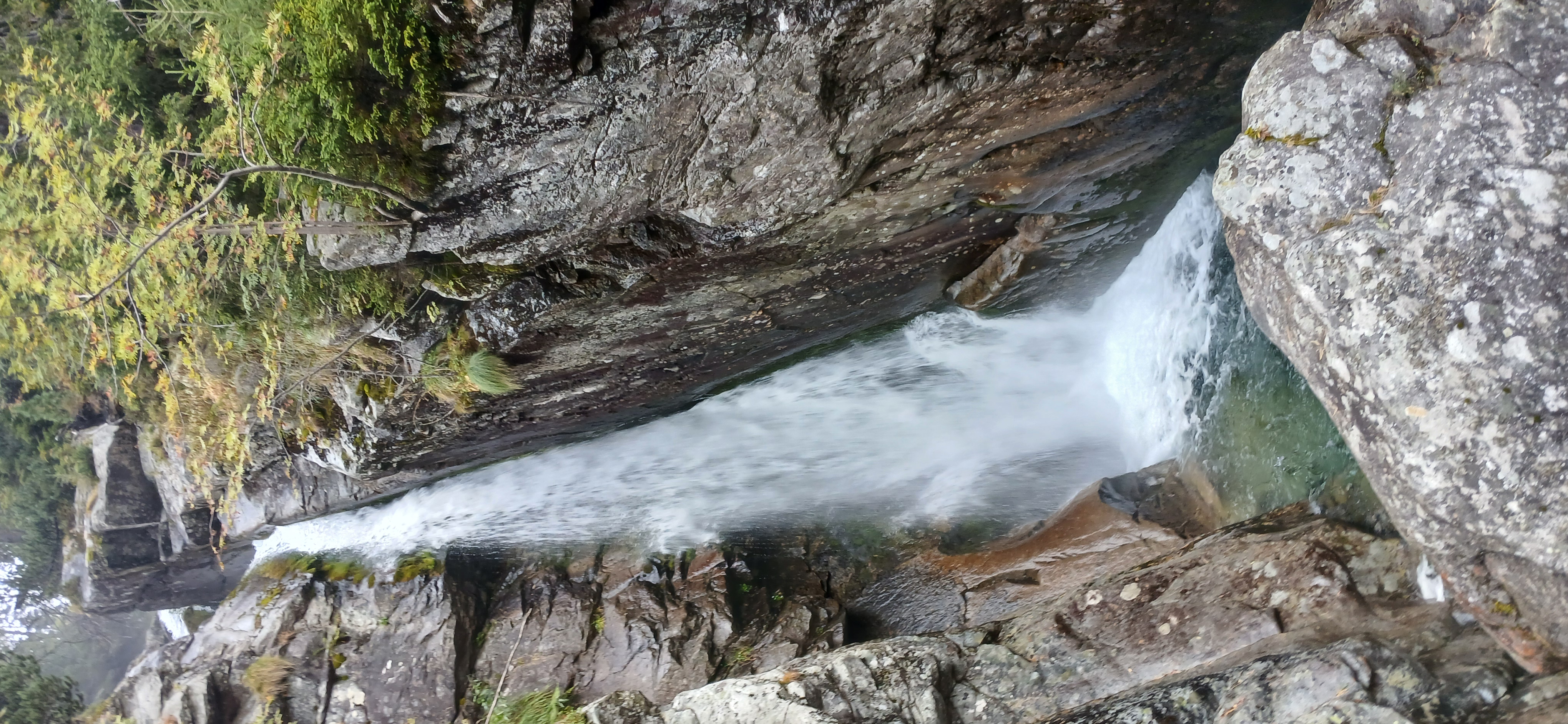 20240911_110621.jpg