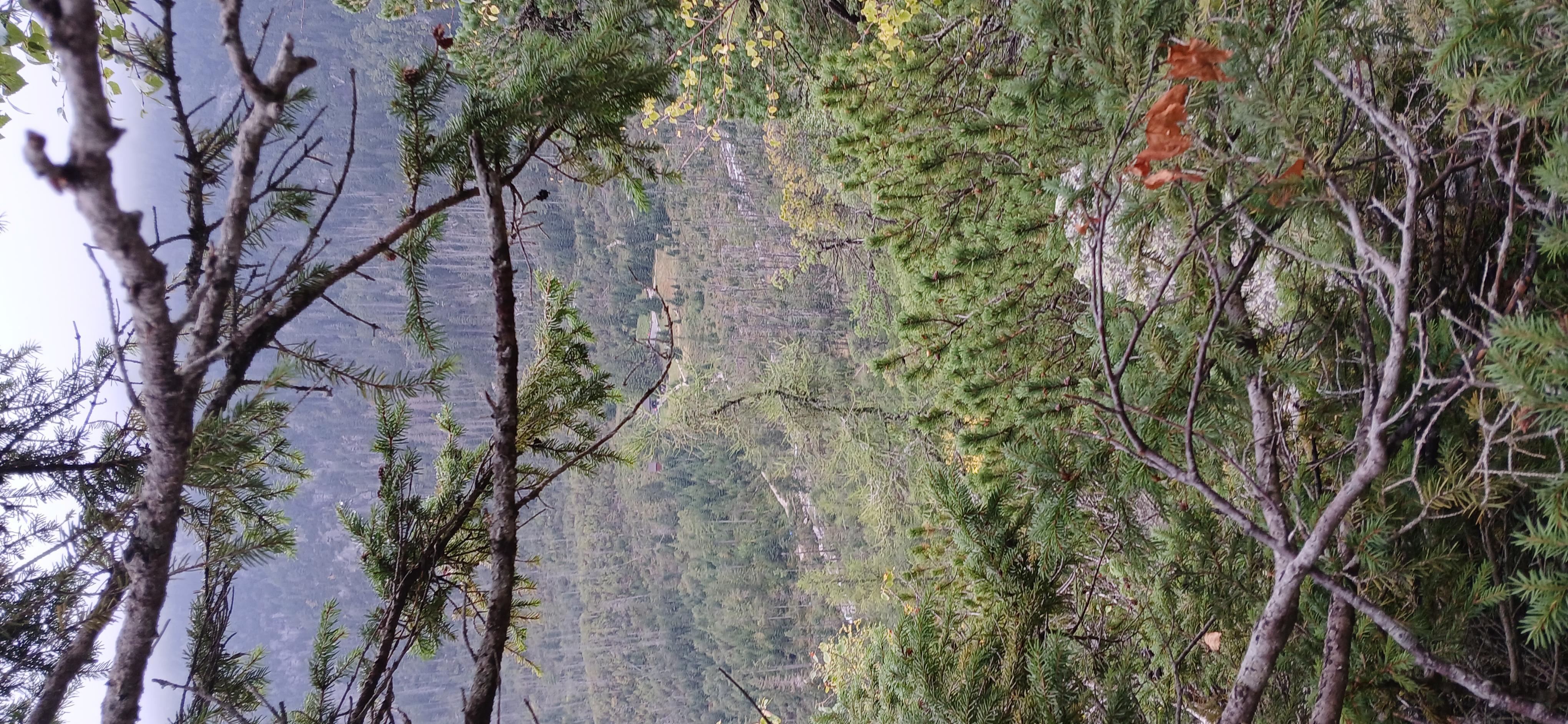 20240911_111850.jpg