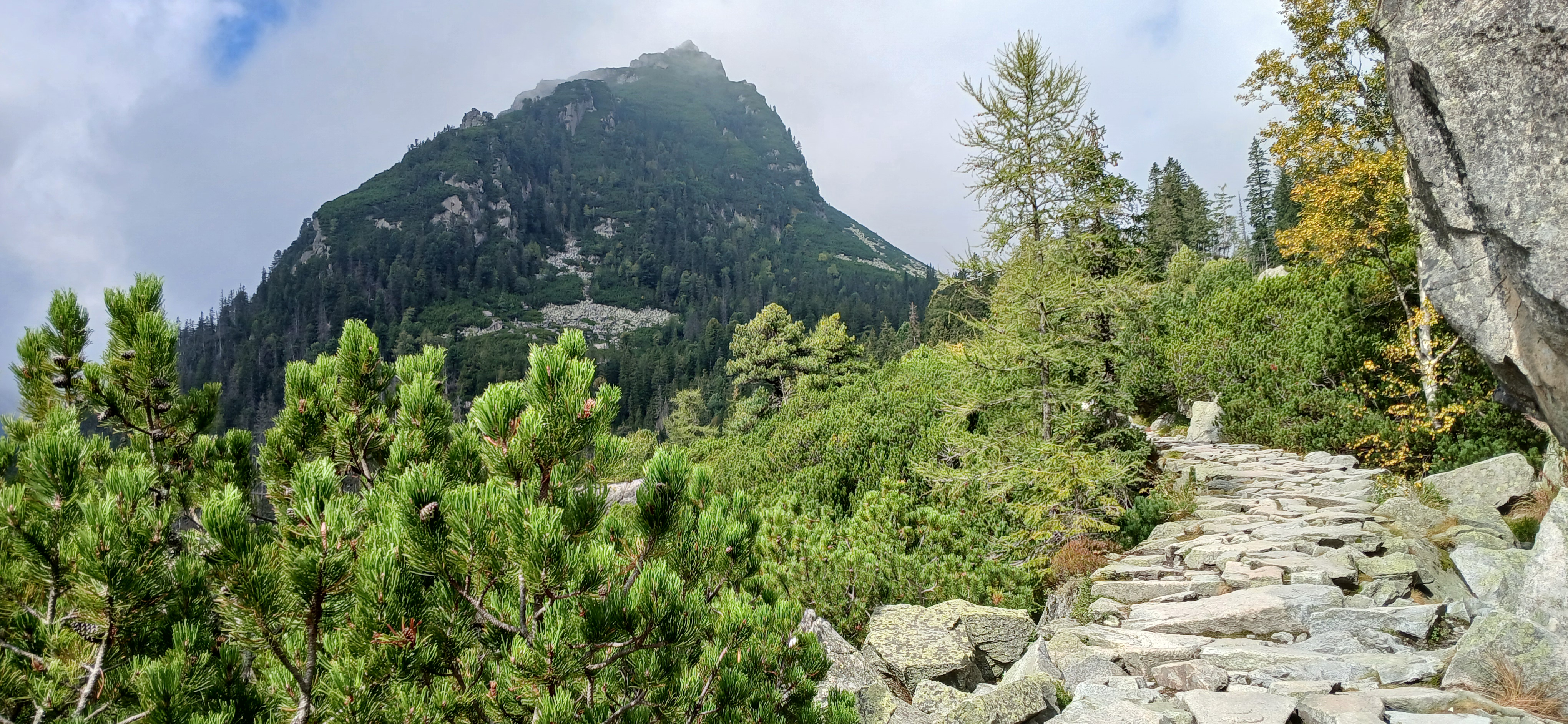 20240911_121415.jpg