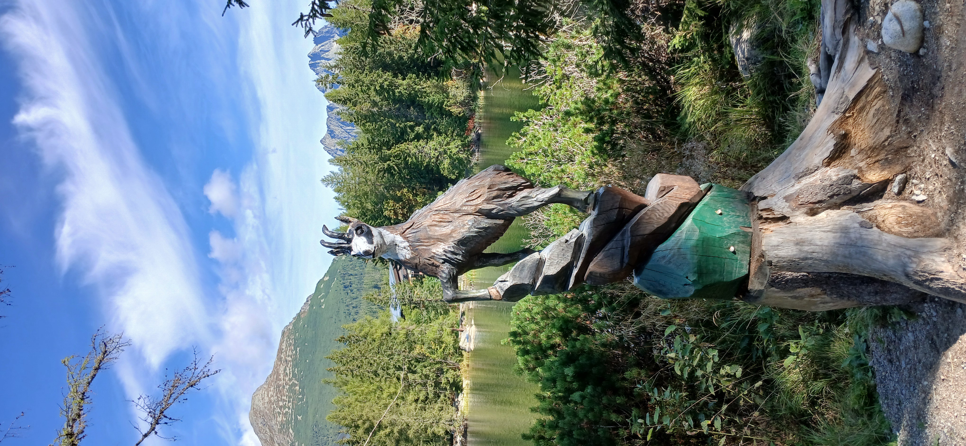 20240912_100750.jpg