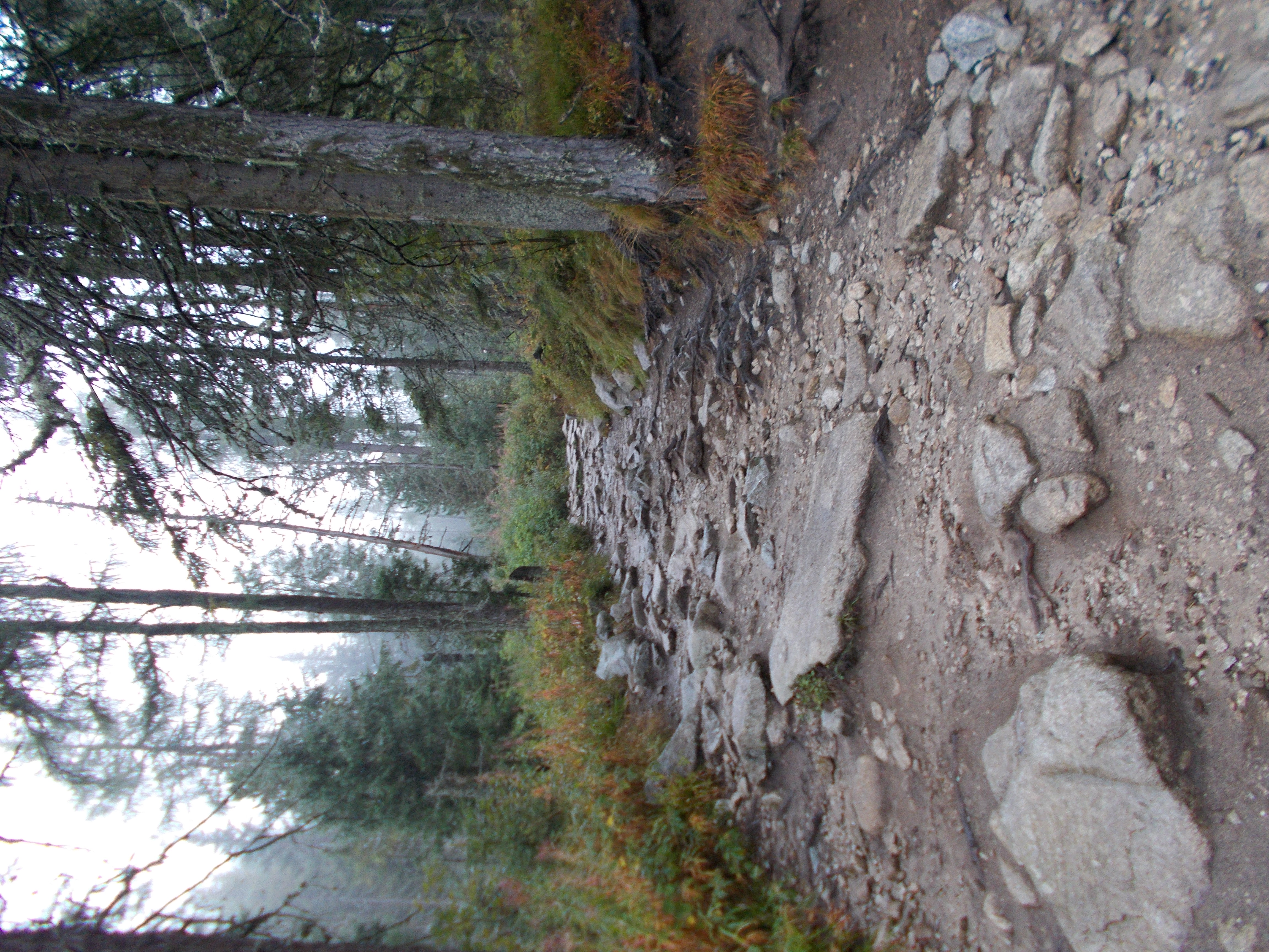 dscn0005.JPG