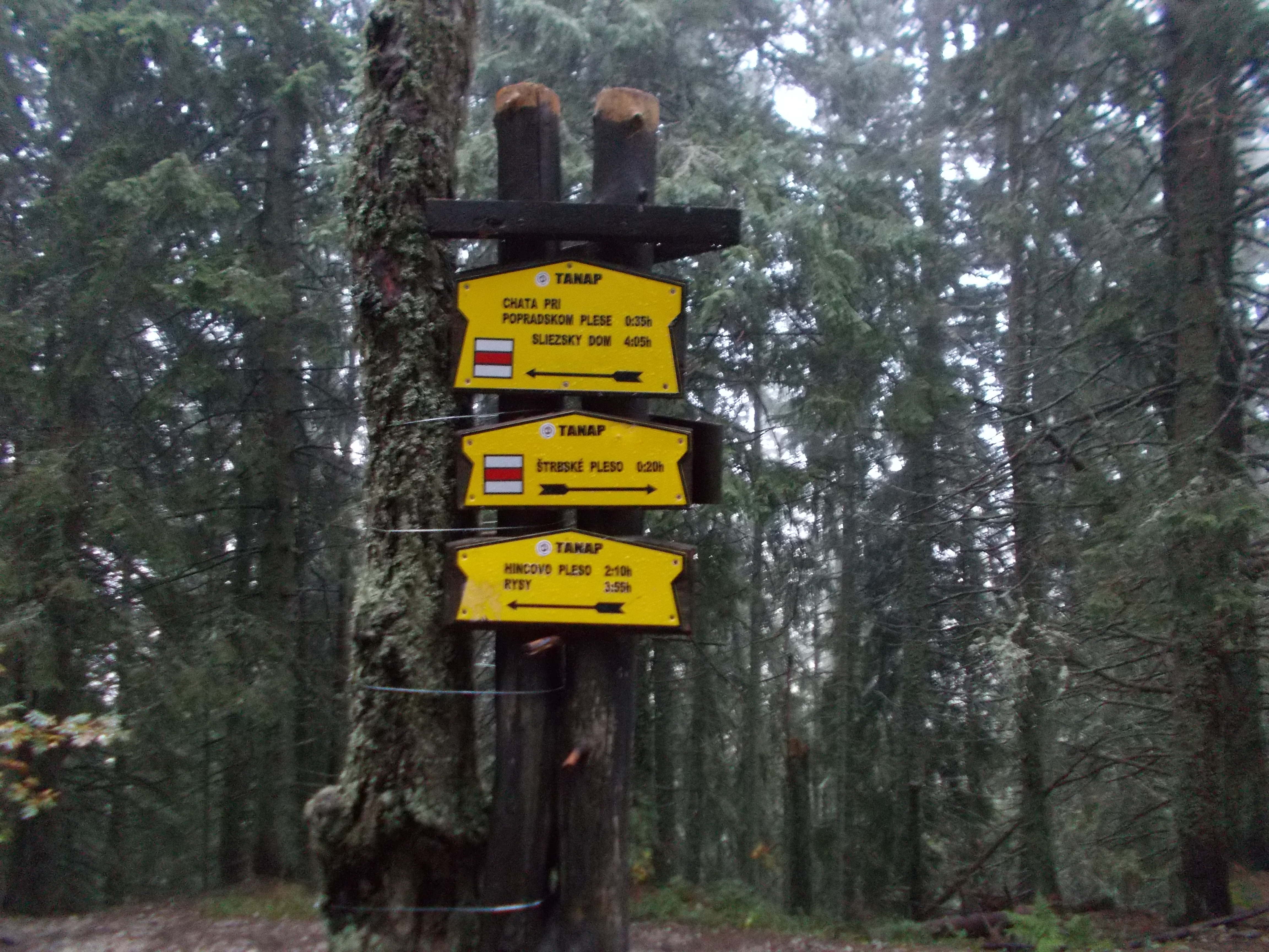 dscn0009.JPG