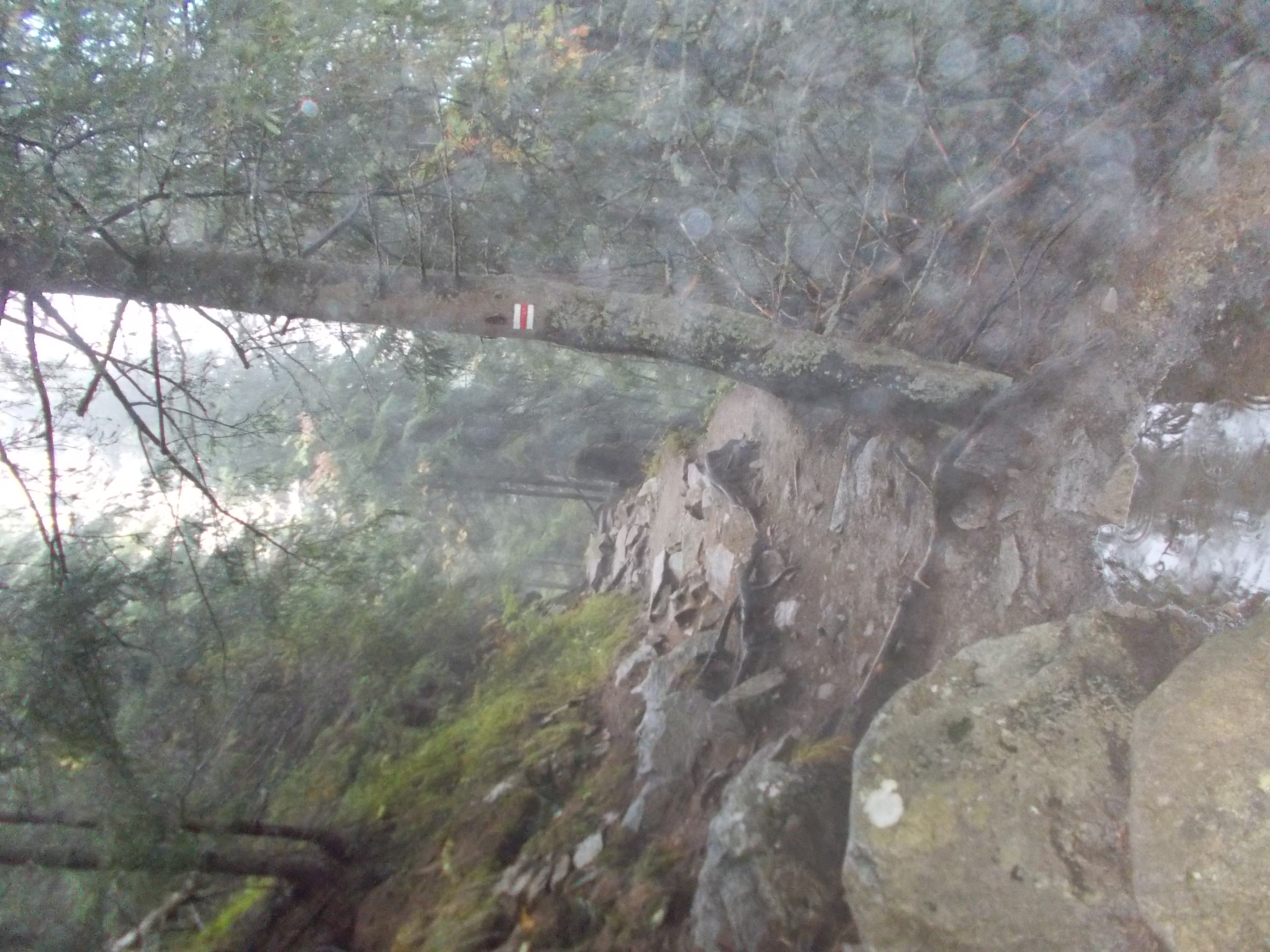 dscn0012.JPG
