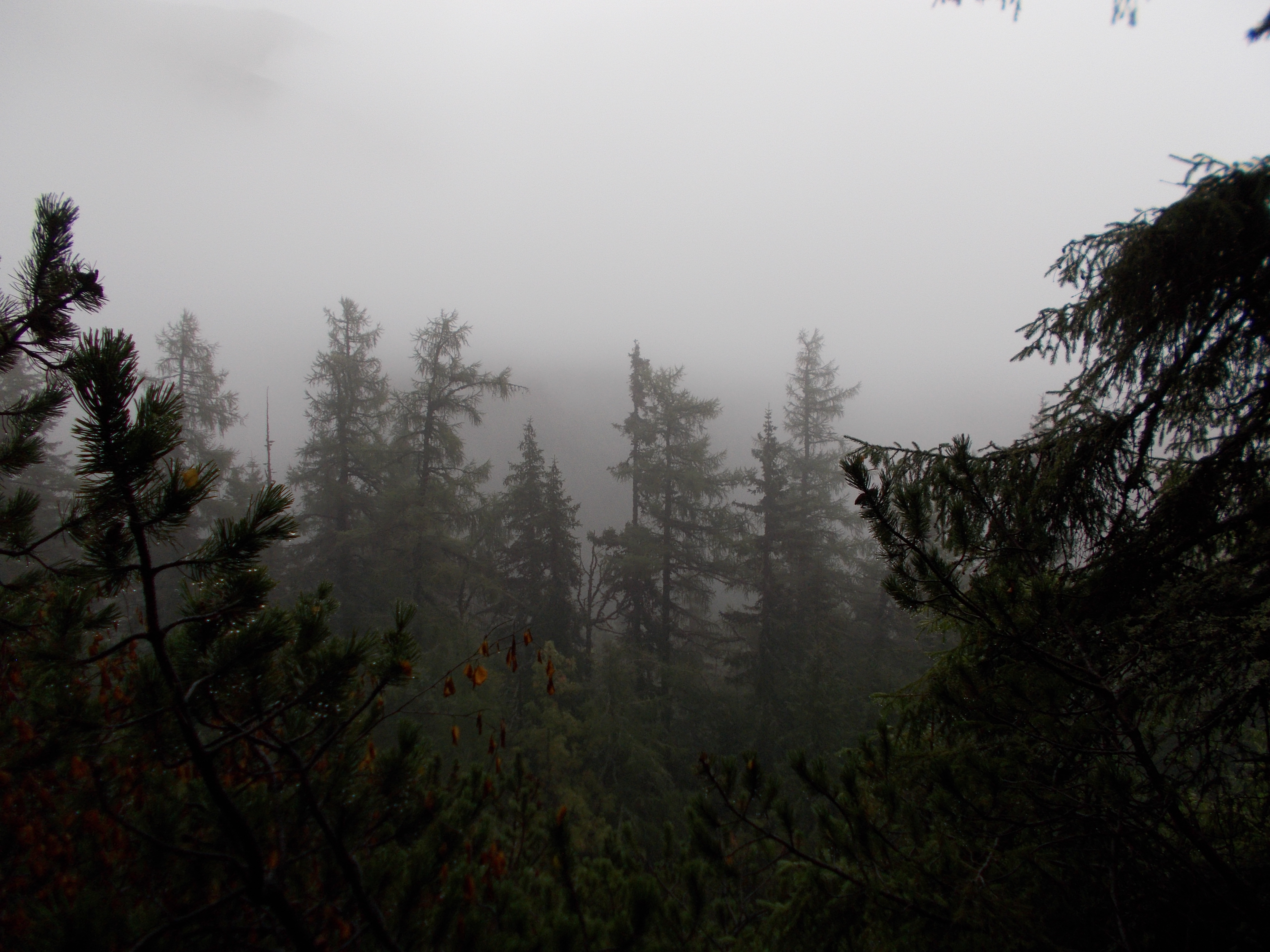 dscn0013.JPG