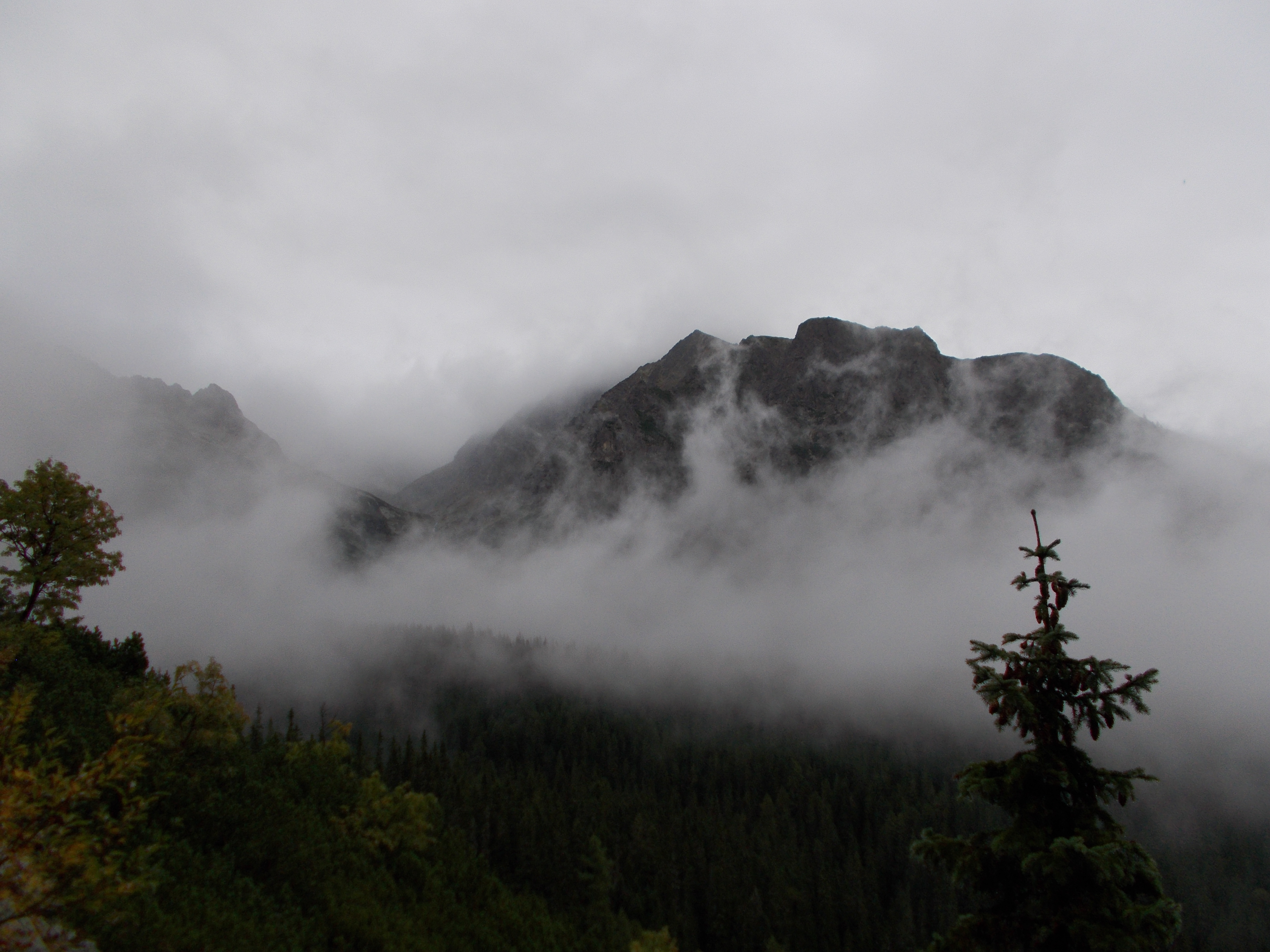 dscn0028.JPG