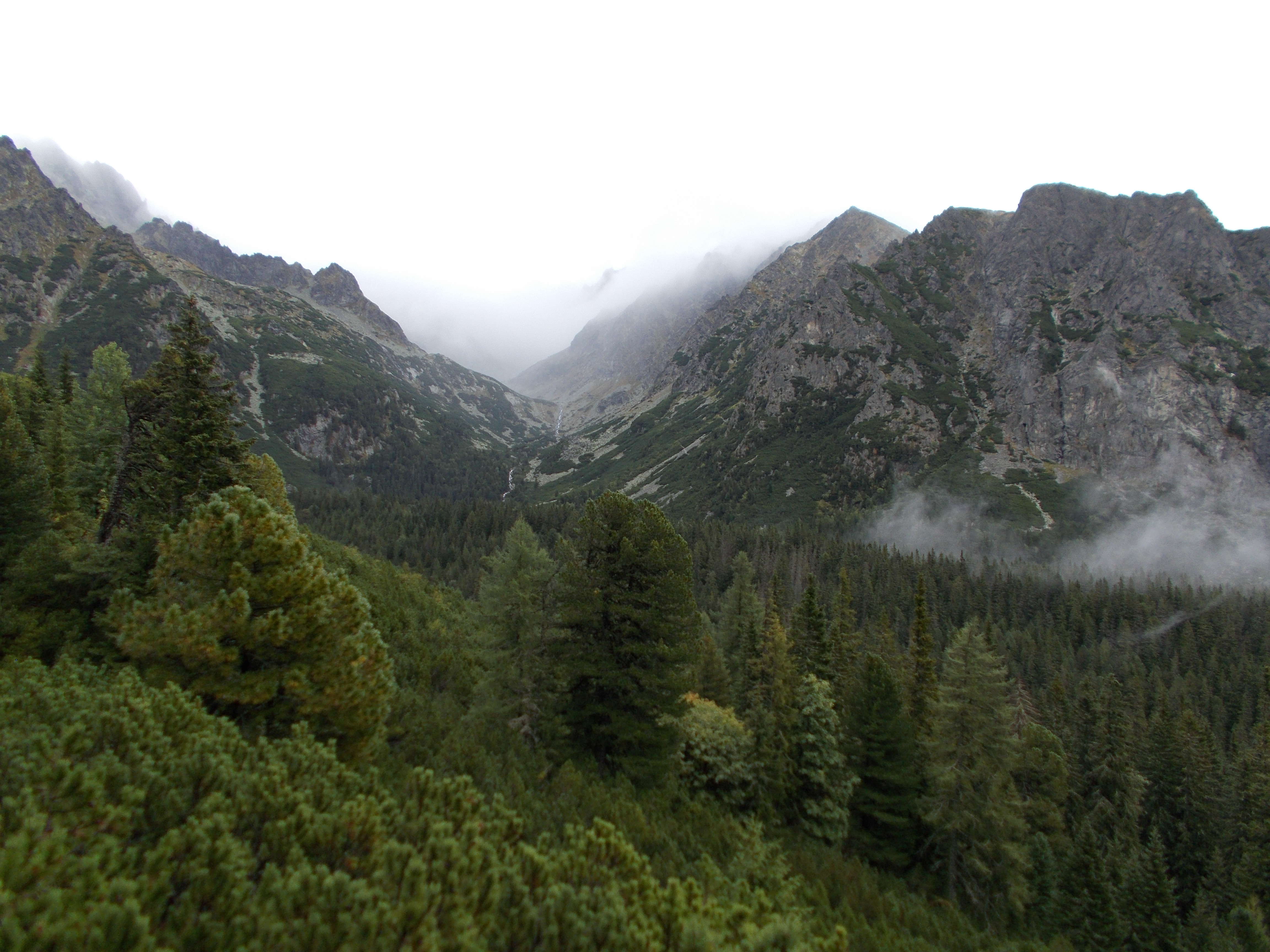 dscn0039.JPG