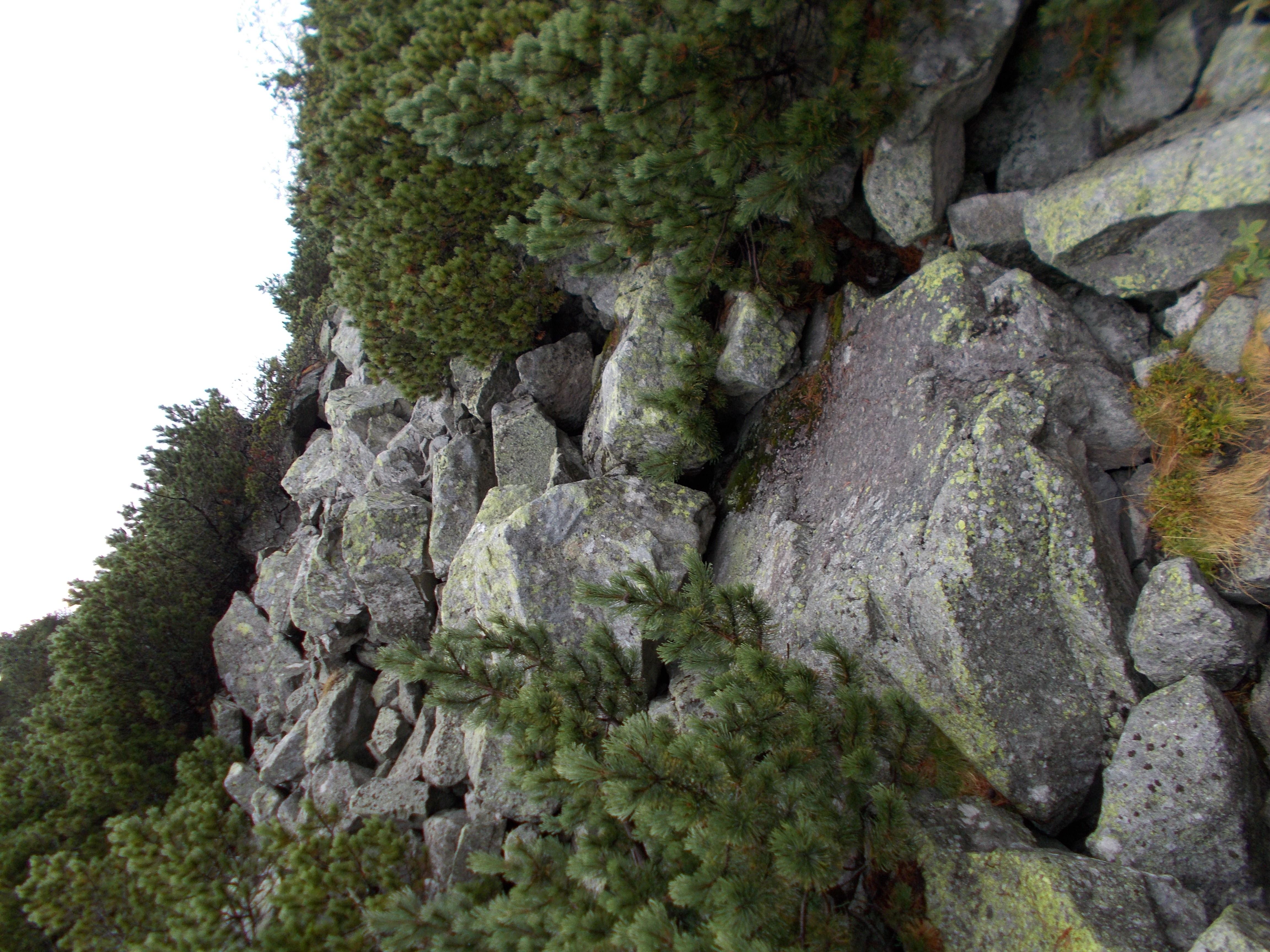 dscn0041.JPG