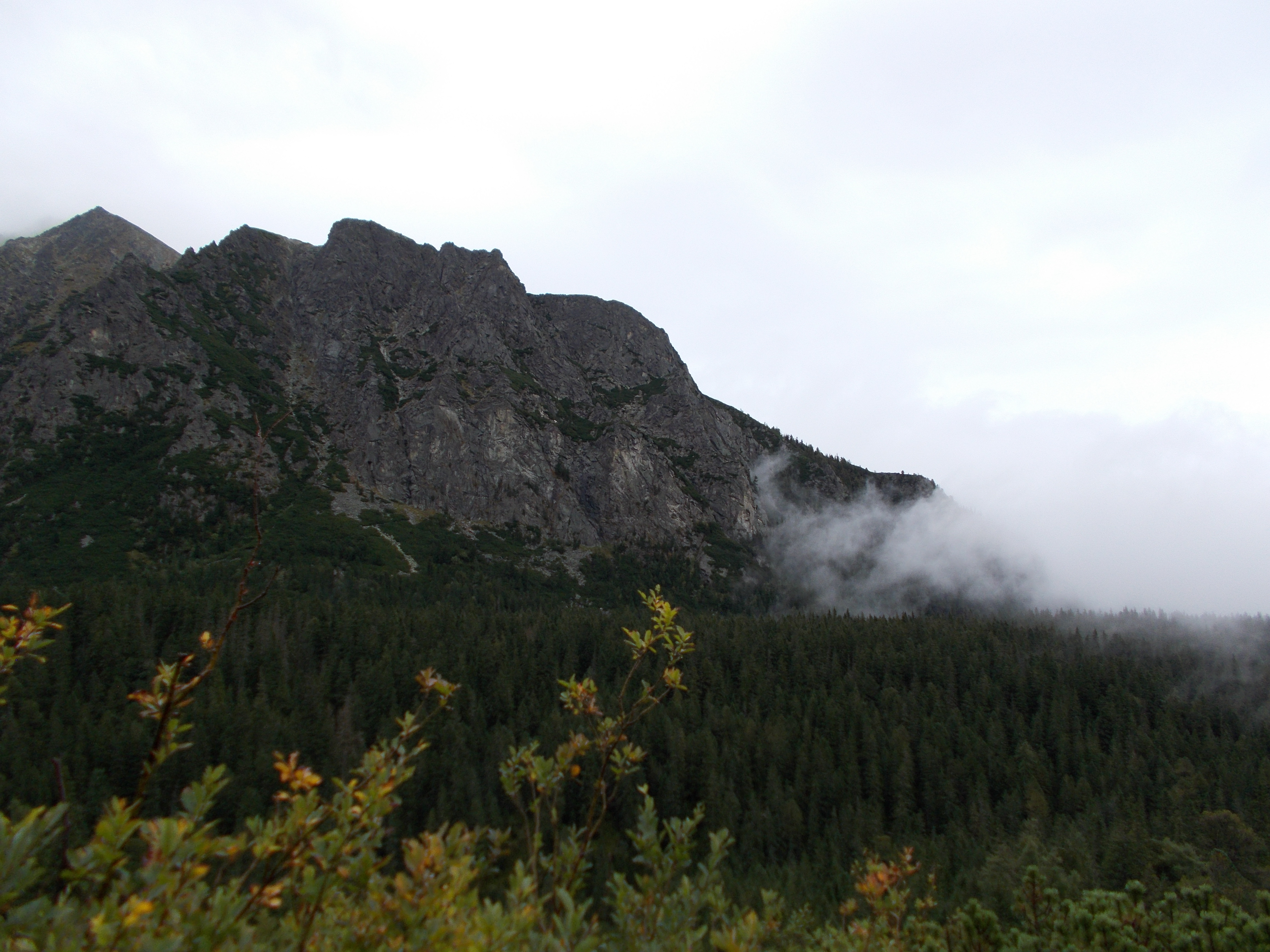 dscn0045.JPG