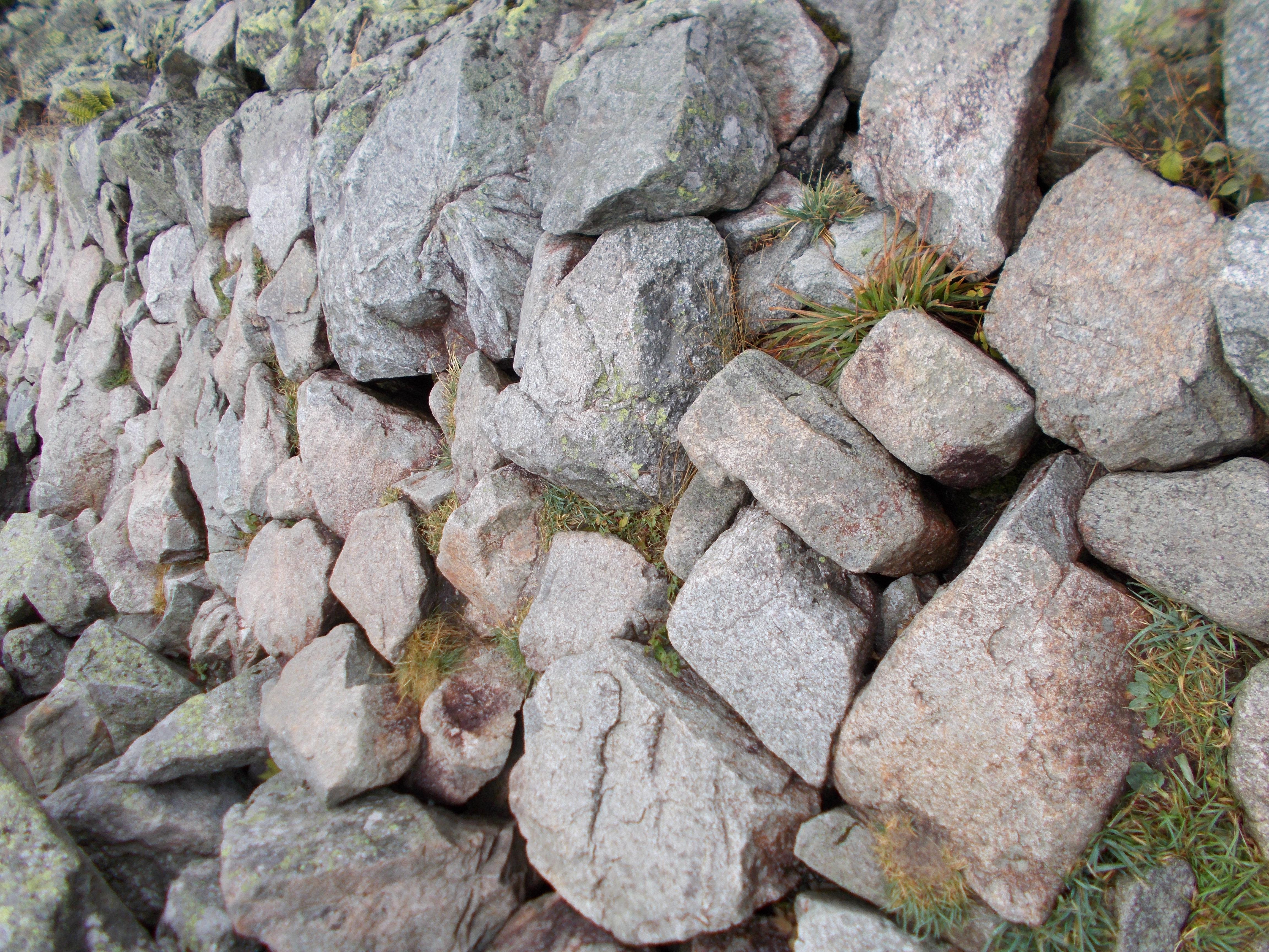 dscn0047.JPG