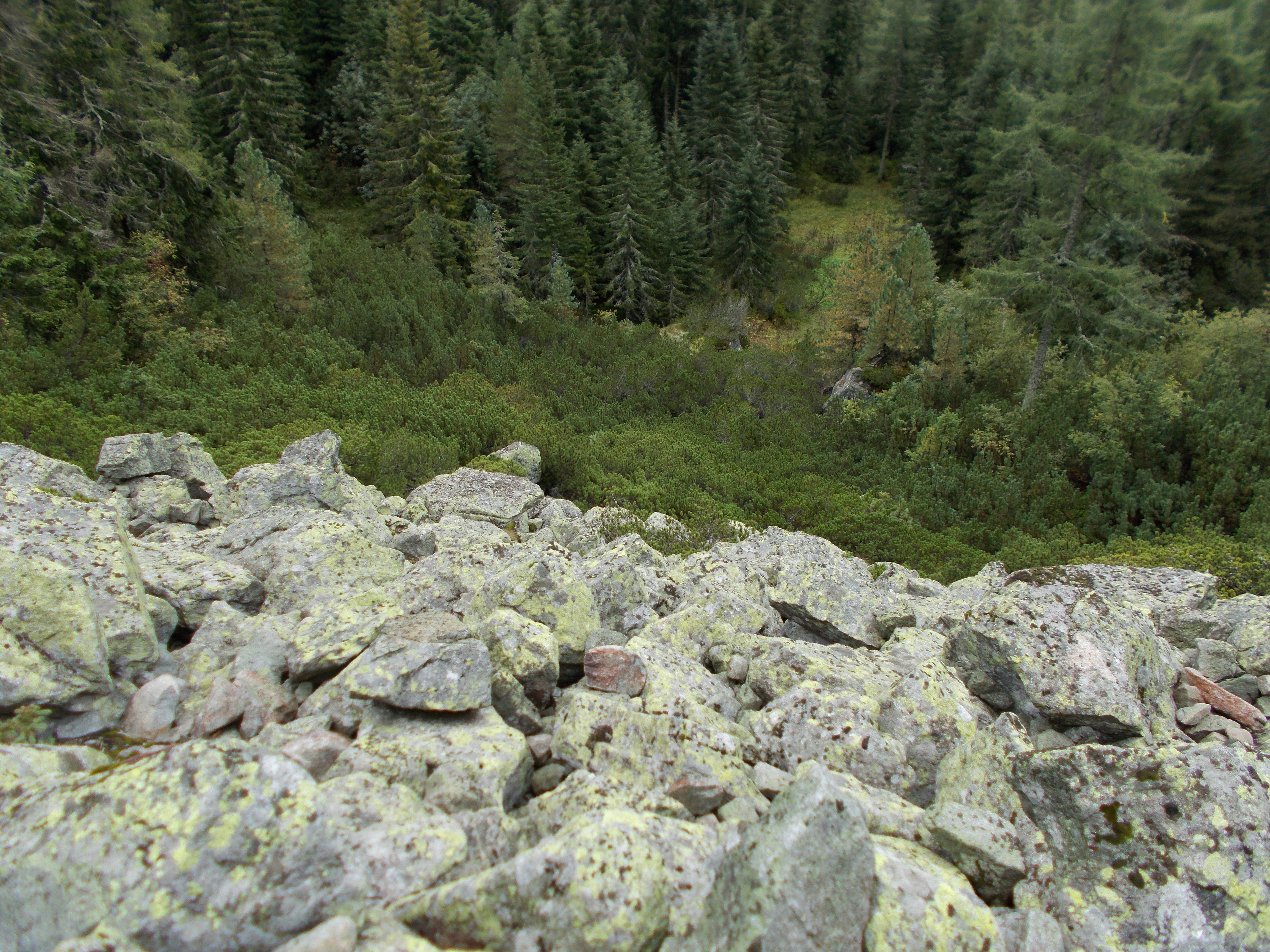 dscn0048.JPG