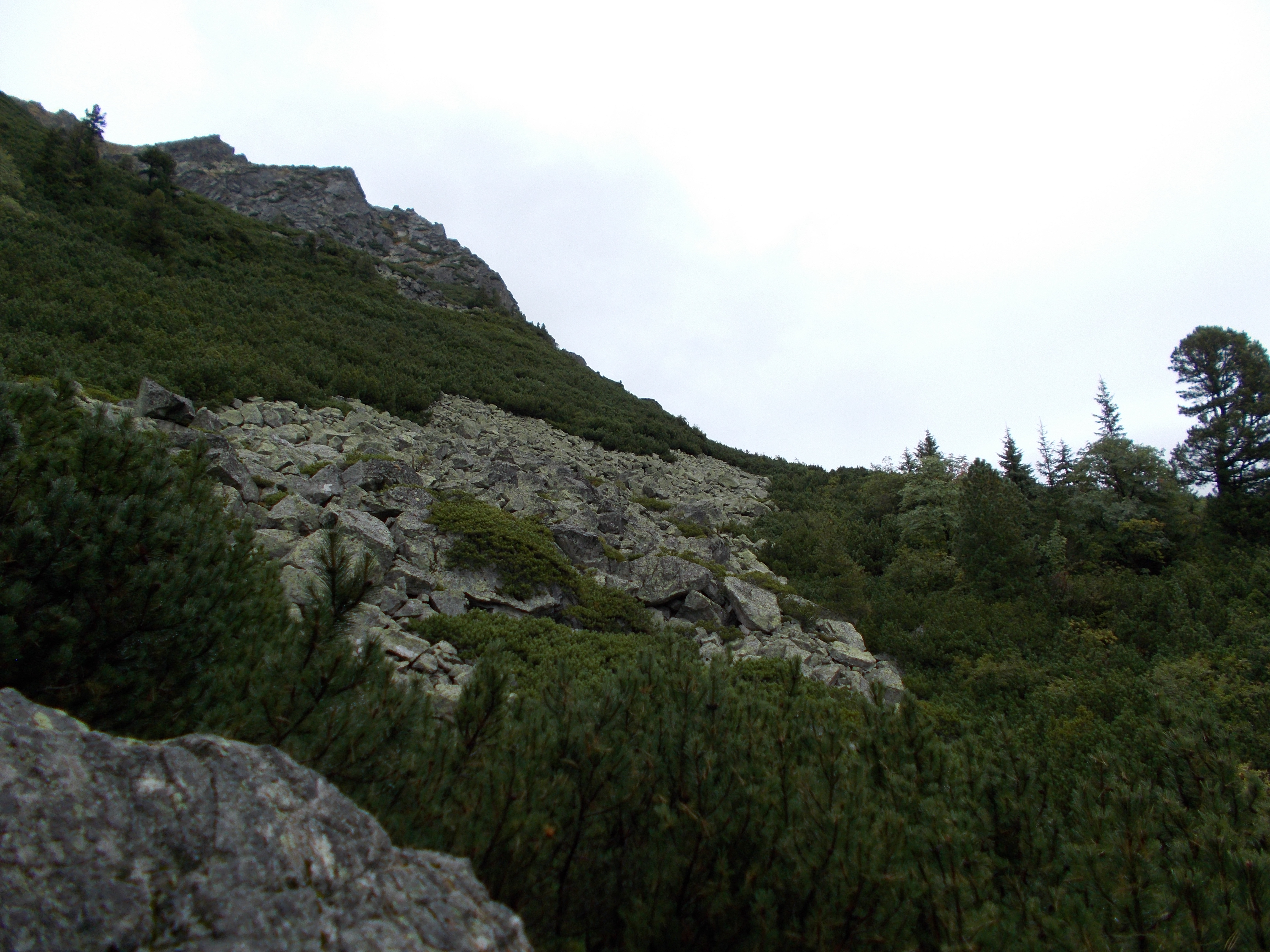 dscn0051.JPG