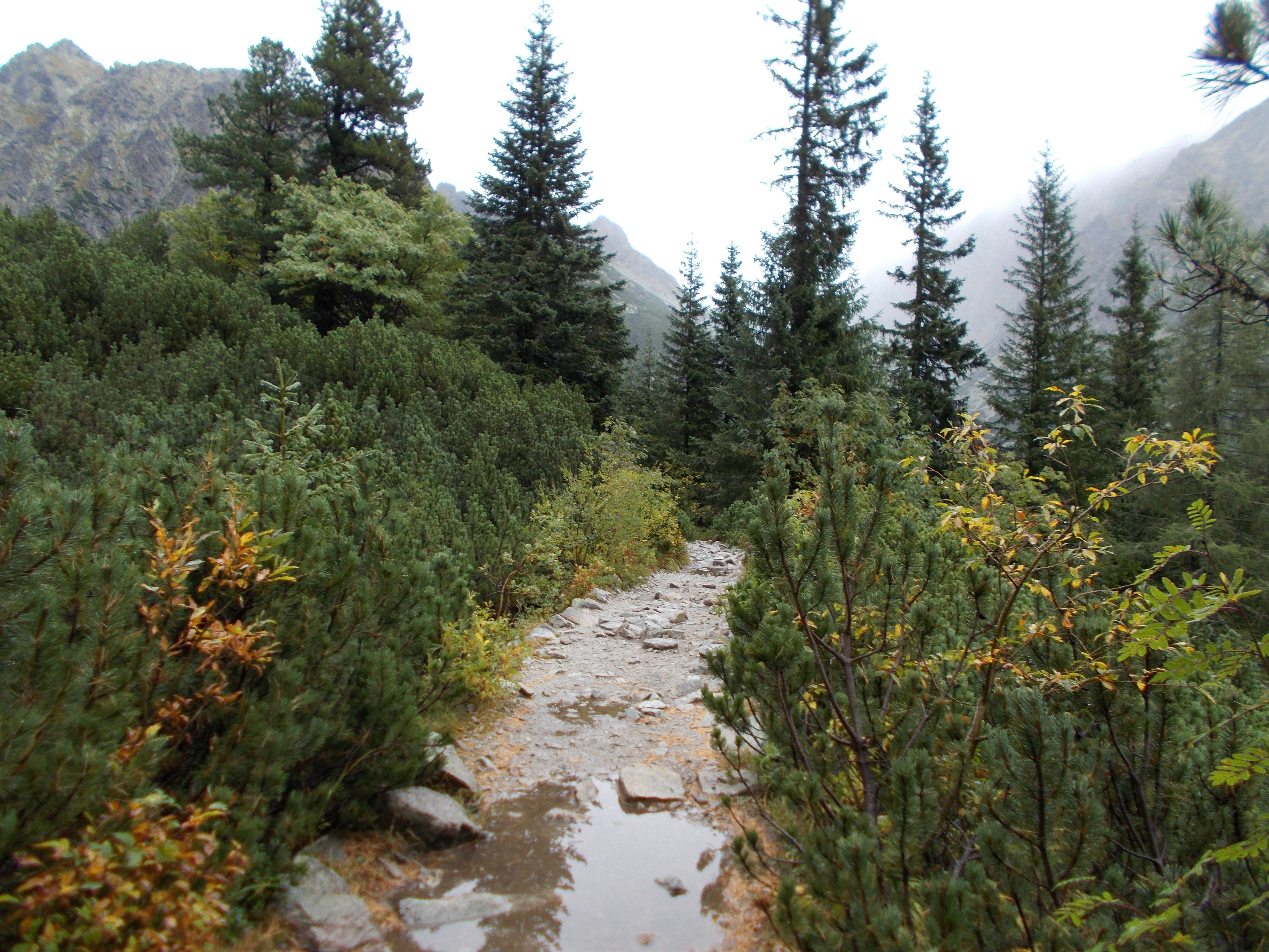 dscn0052.JPG