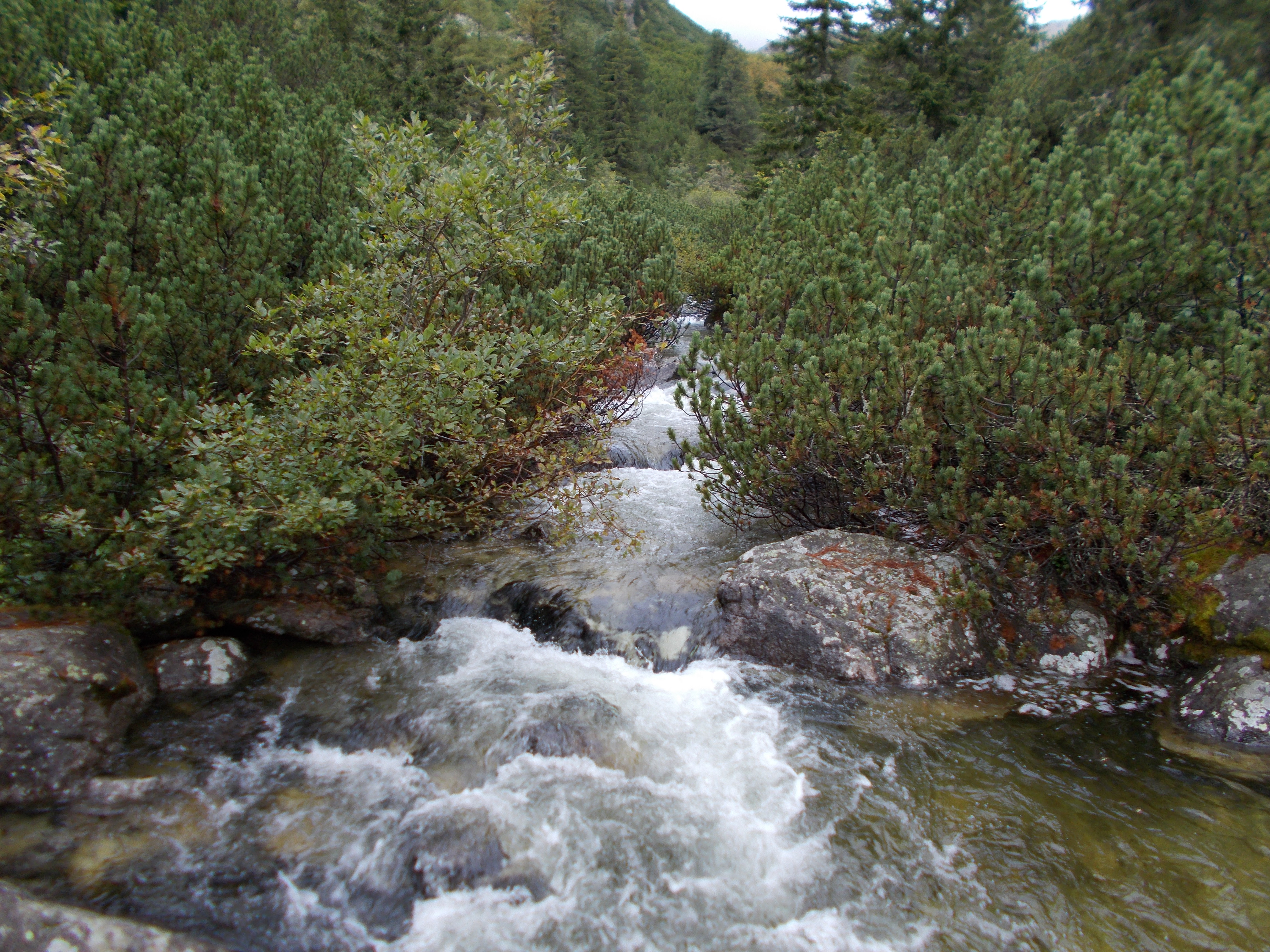 dscn0056.JPG