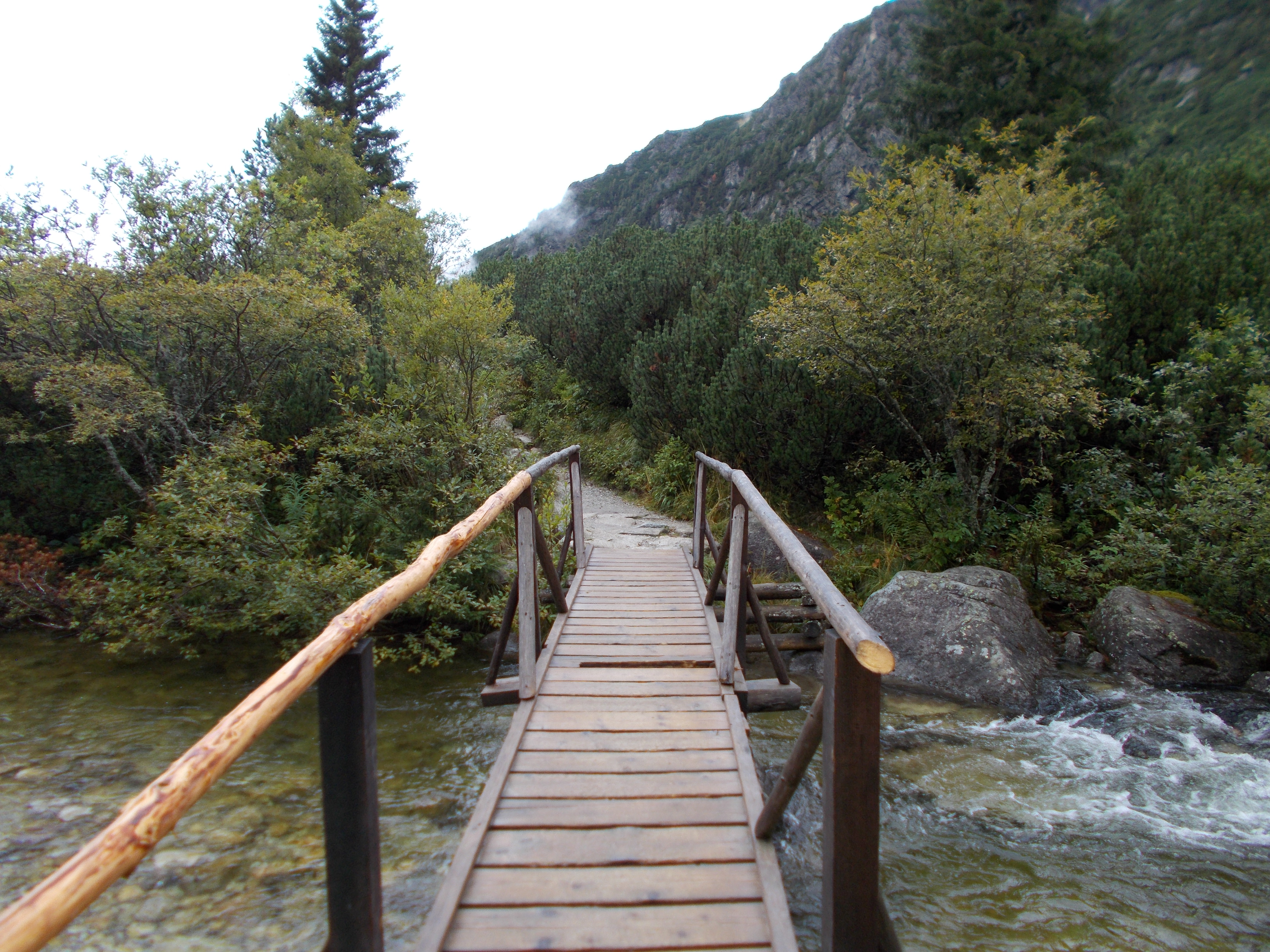 dscn0061.JPG