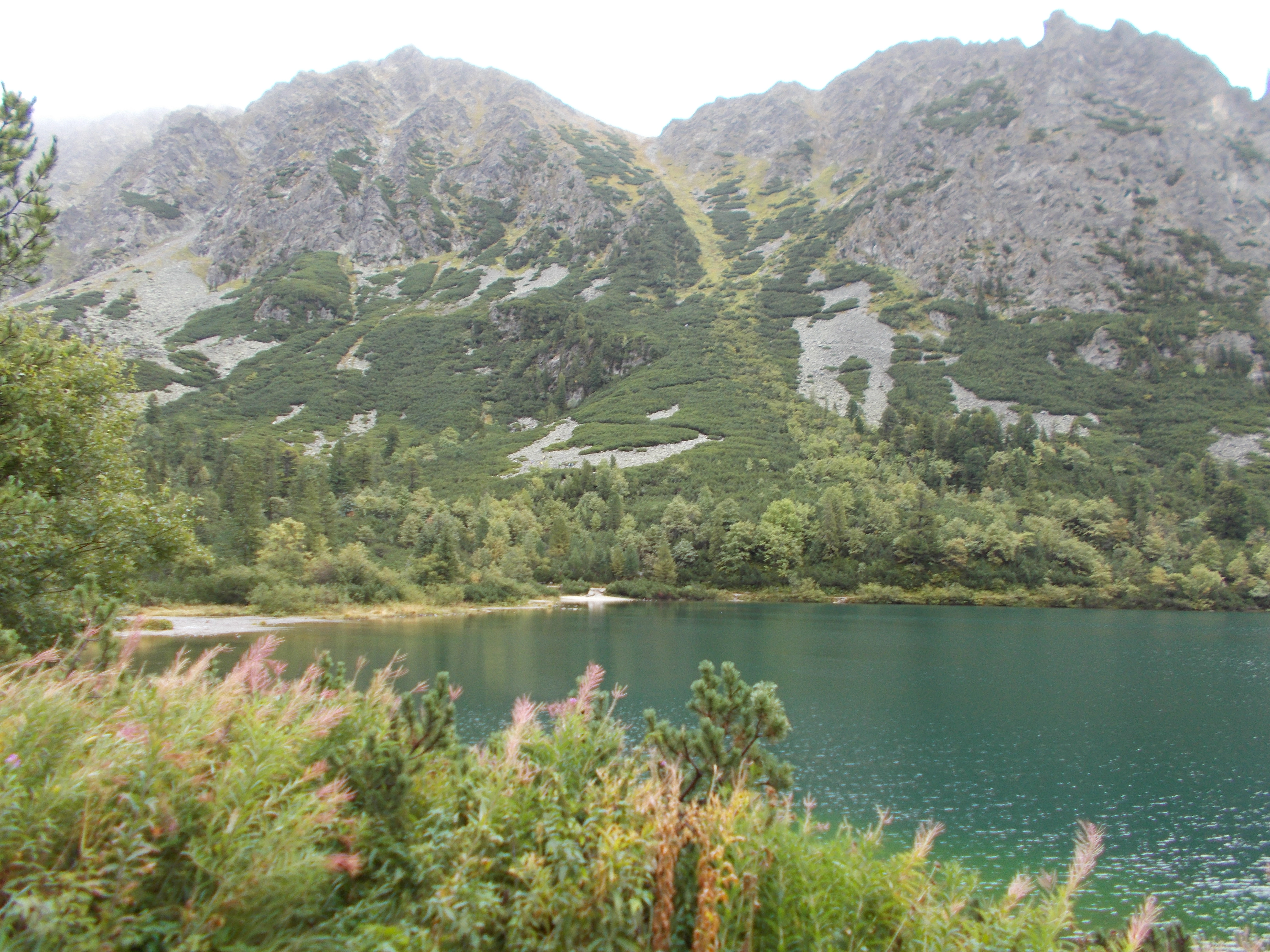 dscn0068.JPG
