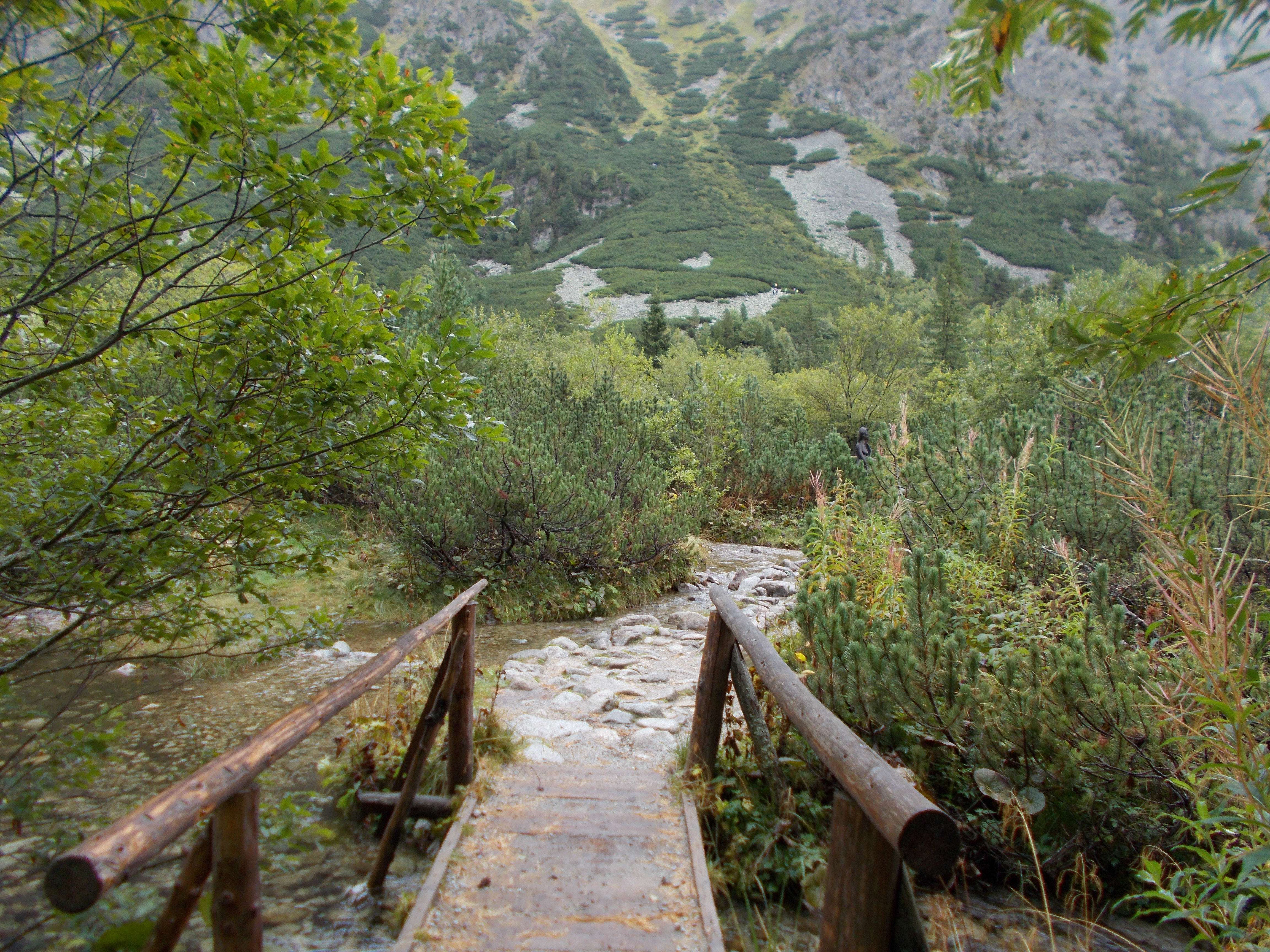 dscn0071.JPG