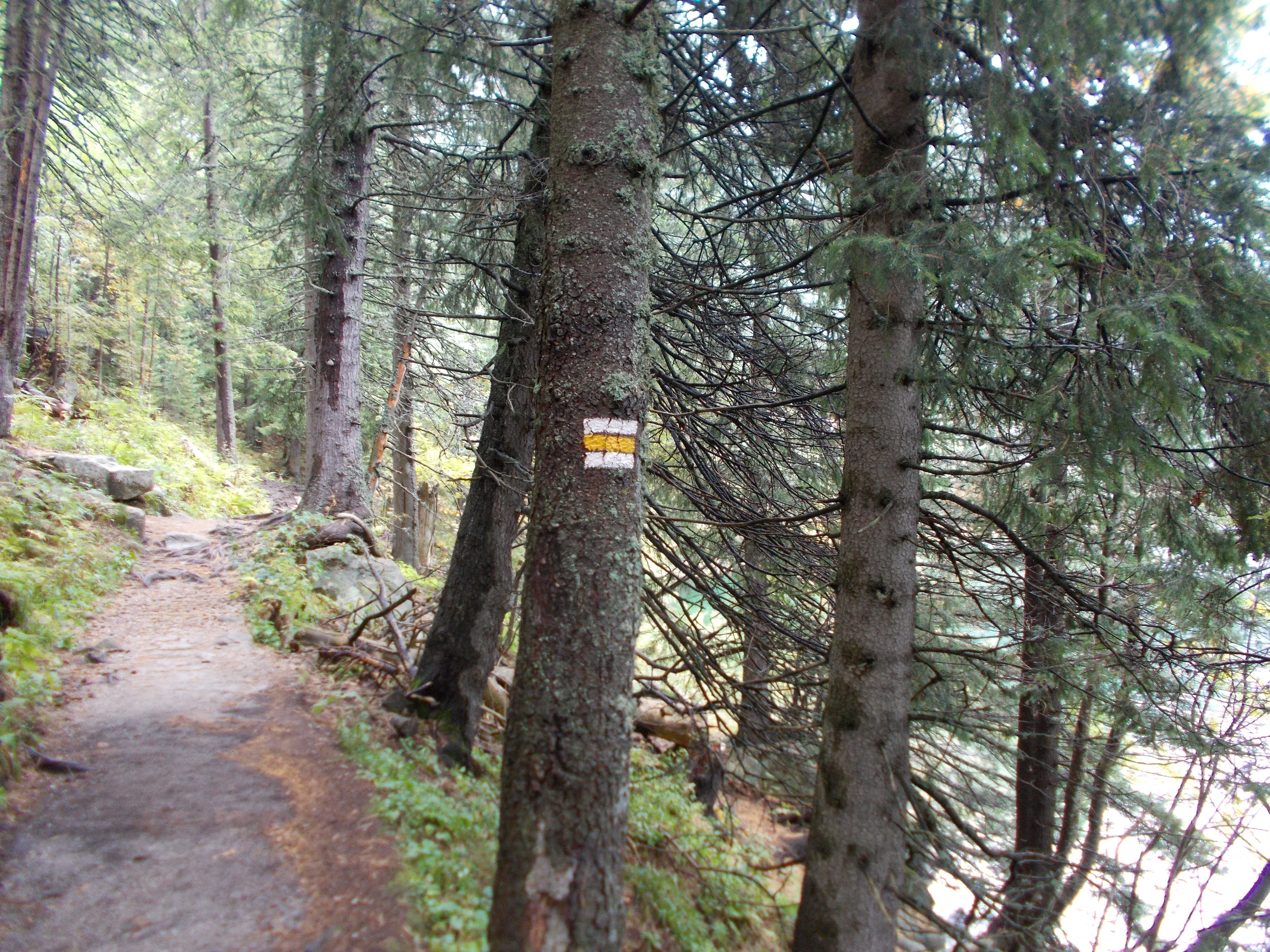 dscn0083.JPG