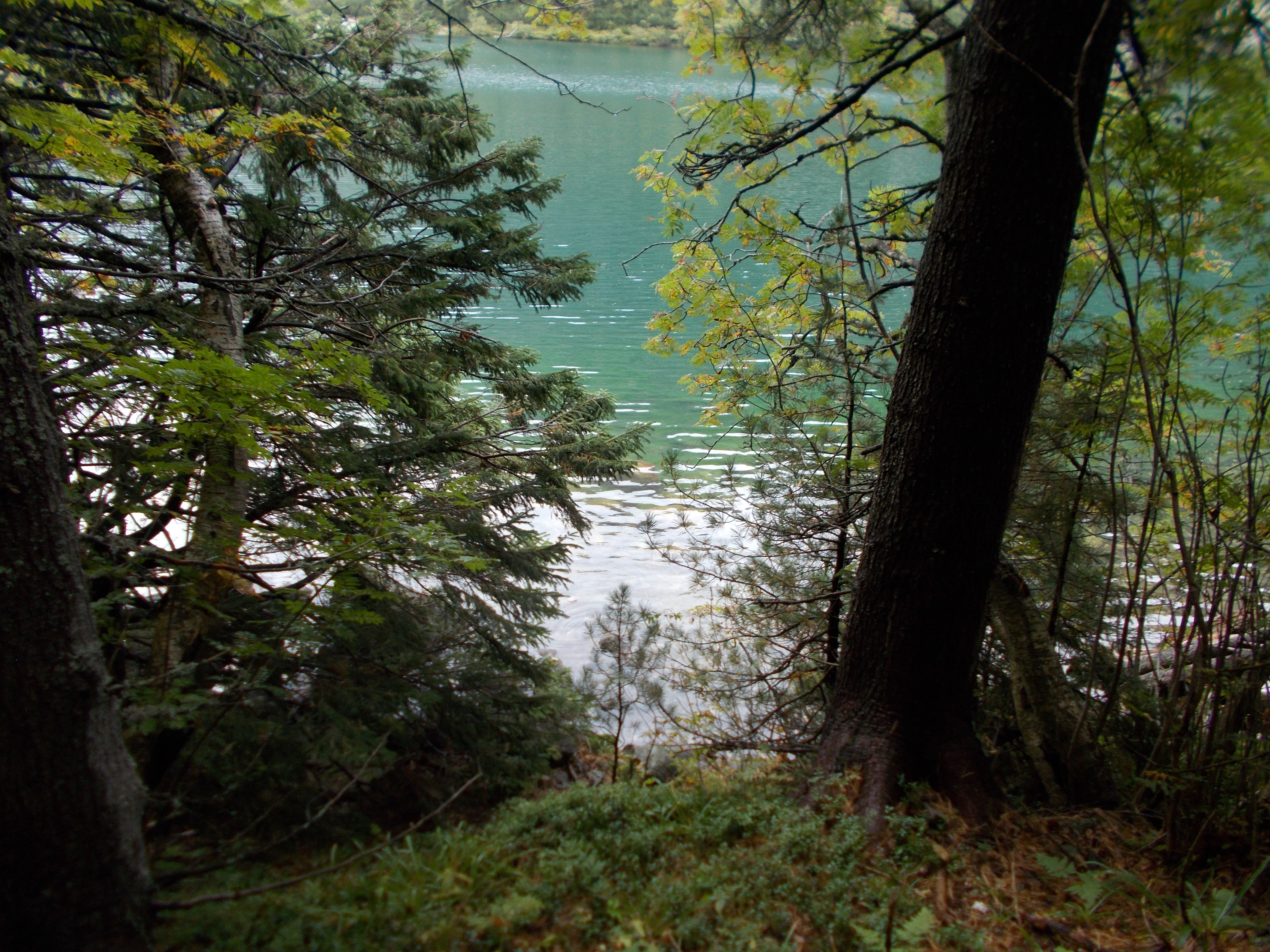 dscn0084.JPG