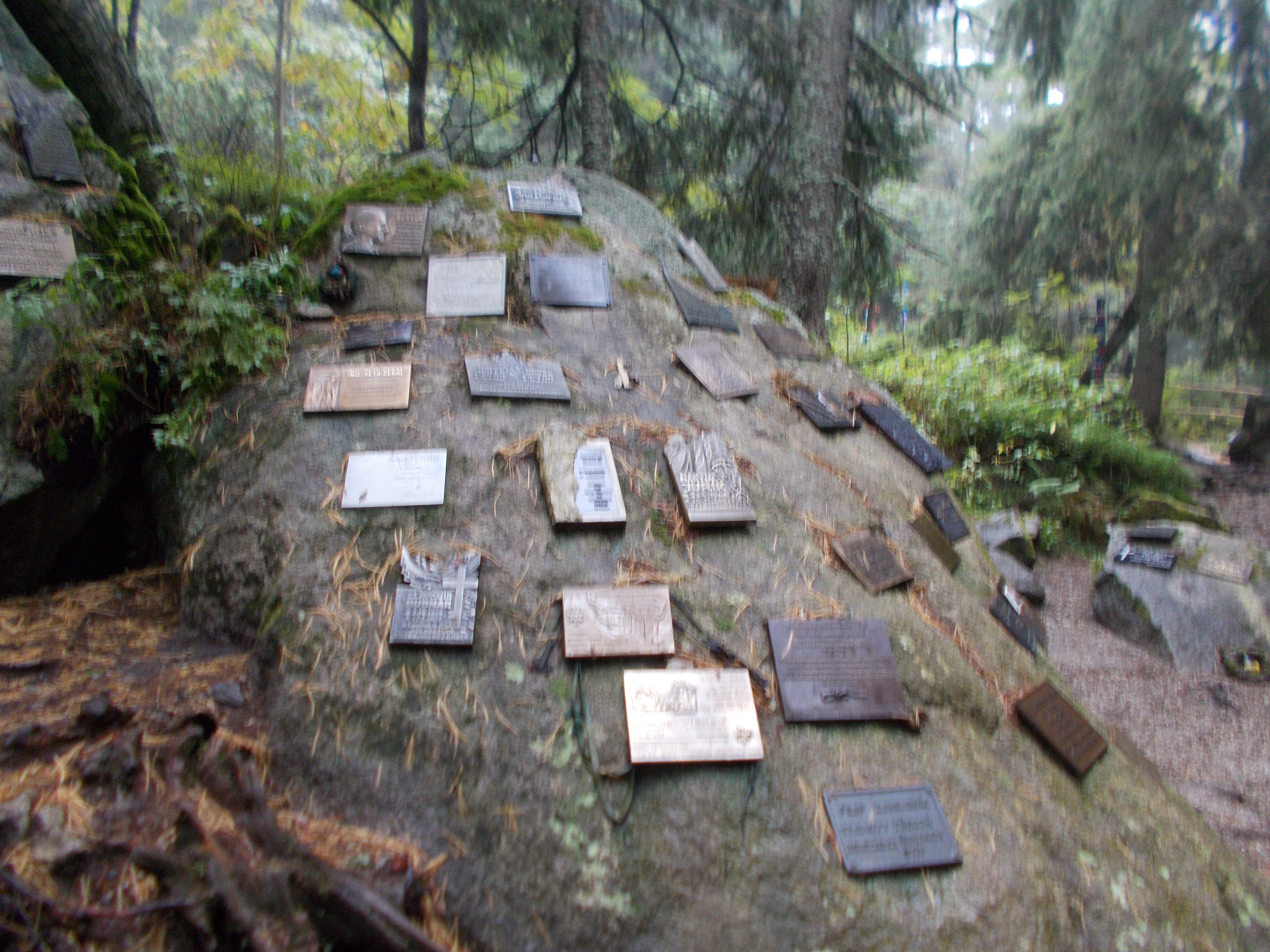 dscn0099.JPG