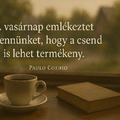 🌿 Vasárnap reggel.