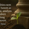 🌱 Csütörtök reggel – ne csak élj, növekedj is.