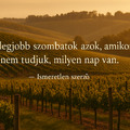 🌤️ Szombat – Reggeli gondolat