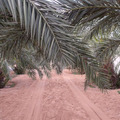 Ghardaïa - második rész