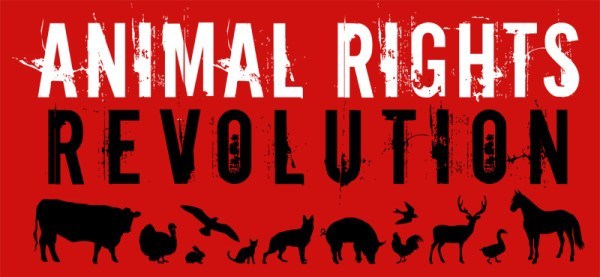 animalrights.jpg
