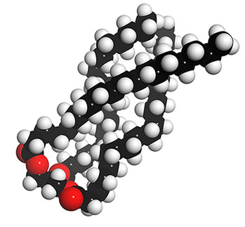 fatty-acid.jpg