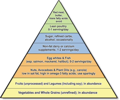 food_pyramid.jpg