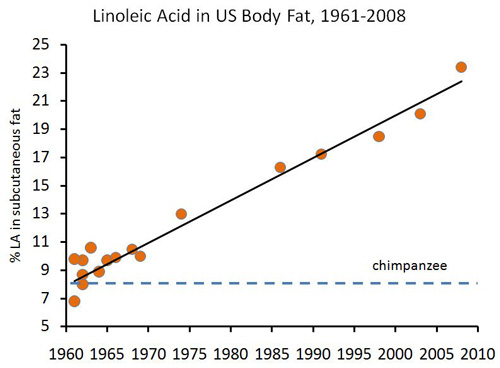 linoleic-acid.jpg