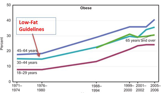 low-fat-guidelines.jpg