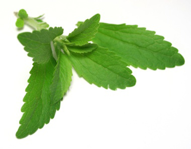 stevia.jpg