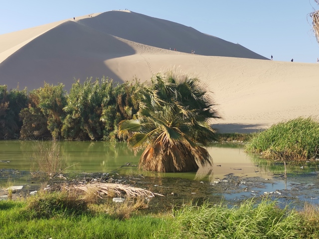 Peru déli síksága