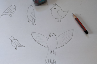 Rajzolj egy madarat