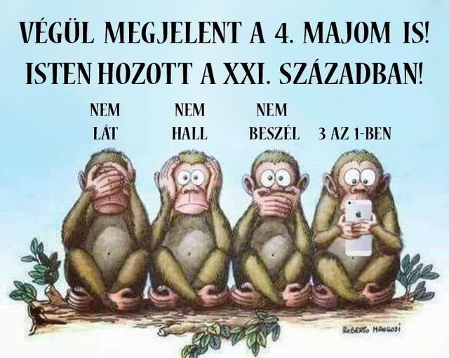 4majom.jpg
