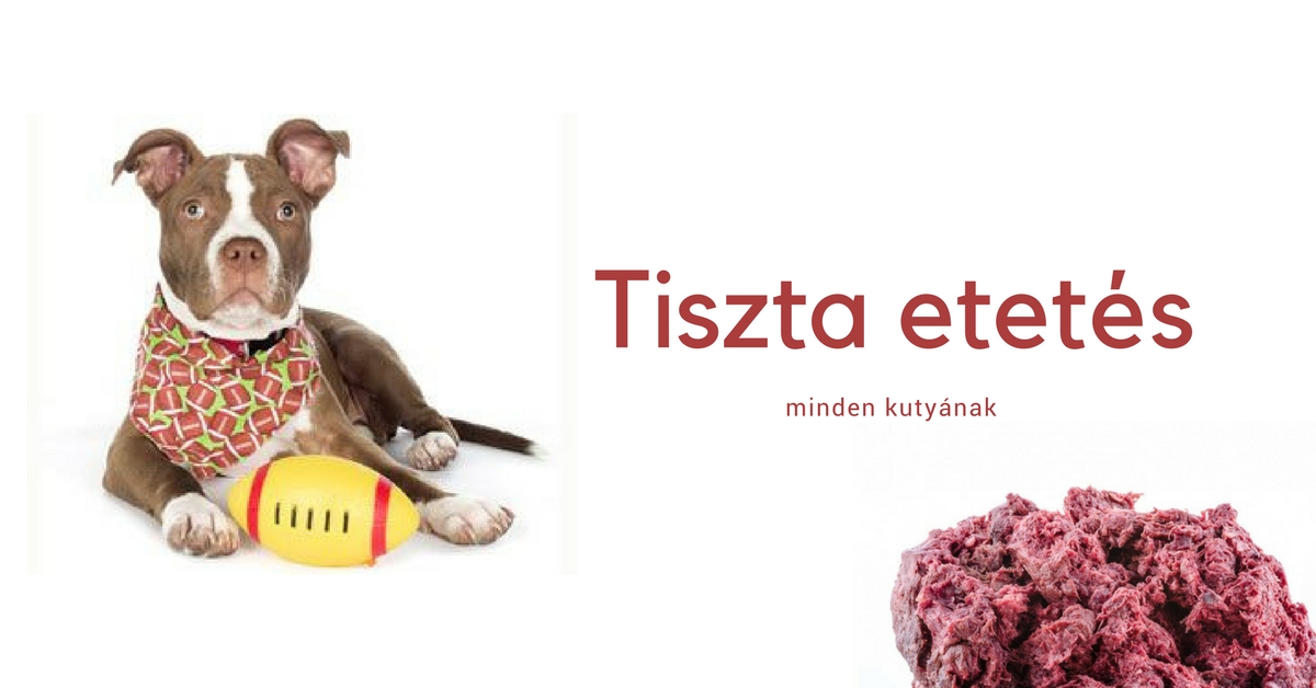 tiszta_etetes.jpg