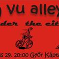 2.Alleycat 2010.05.29