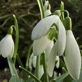 Februari "vegyes felvagott"  ^^