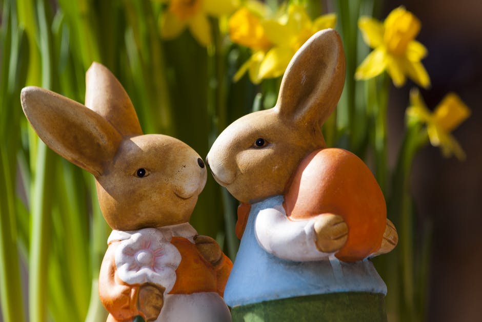 easter-bunny-easter-rabbit-bunny-couple-69816.jpg