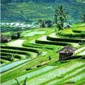 Bali – A földi paradicsom, ahol etetik az Isteneket!