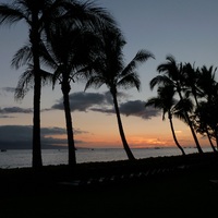 Lábjegyzet két Hawaii hónapról