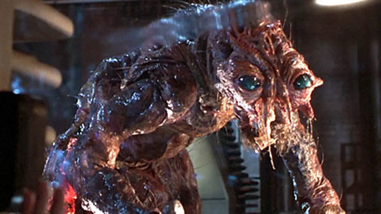 thefly.webp