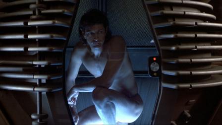 thefly5.jpg