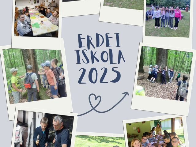 Erdei iskola 2025