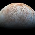 a NASA gyakorlatilag biztosra veszi, hogy van élet a Jupiter Európa nevű holdján