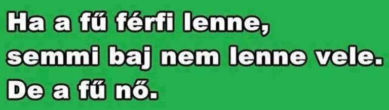 fű_1.jpg