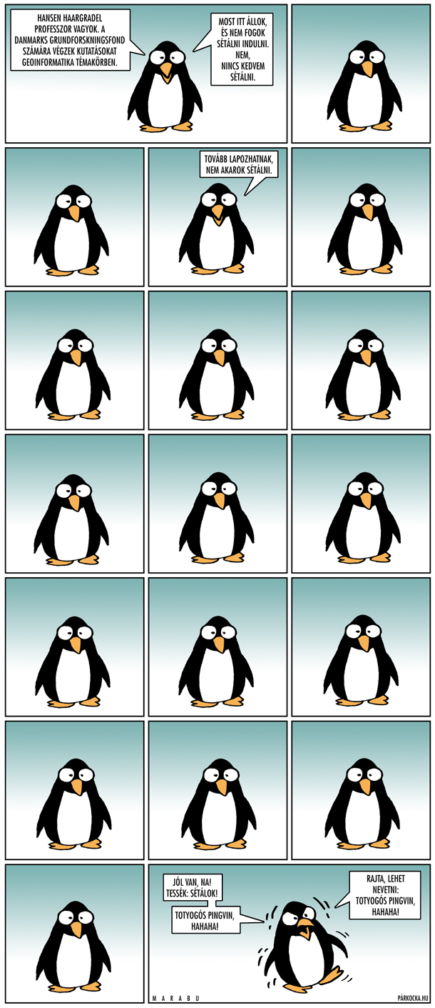 pingvin-marabu.jpg