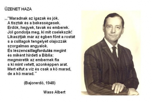 wass_albert_500.jpg