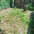 Szombat.